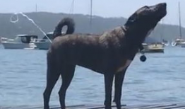 天天撸视频,揭秘短视频时代的潮流与魅力